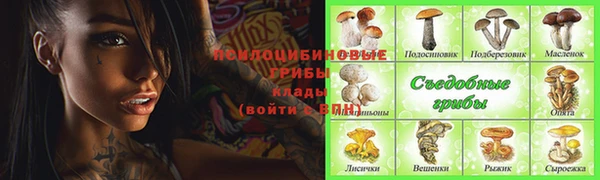 таблы Армянск