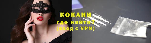 мяу мяу мука Арсеньев
