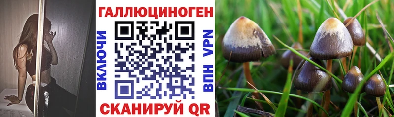 Псилоцибиновые грибы Cubensis  дарнет шоп  Белозерск 